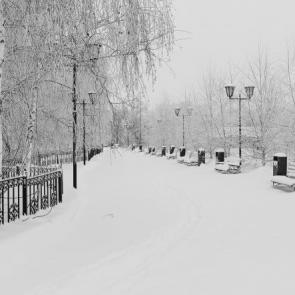 ����: ������ �����