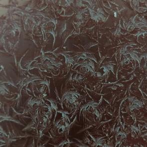 ����: ����� ��������