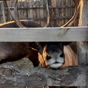 ����: �������� �����