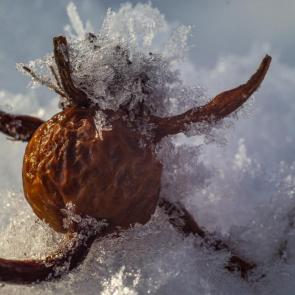 ����: � �������� ����