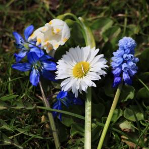 ����: �������� ���������