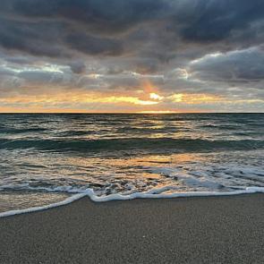 ����: �����