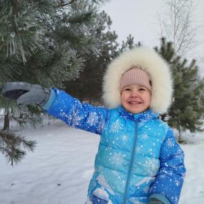 ����: ���� ������