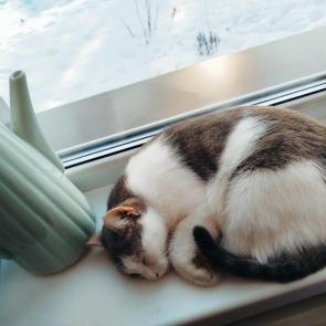 ����: ���������� � ������