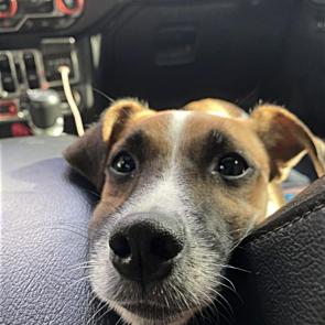 ����: �����