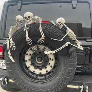 ����: �������...