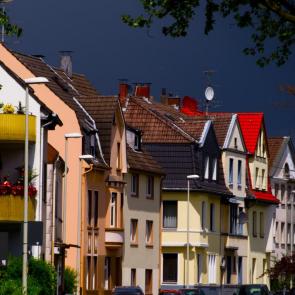 ����: �������