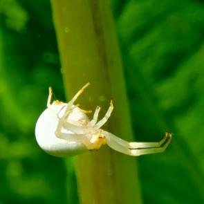 ����: �� �������