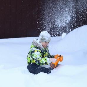 ����: �������������