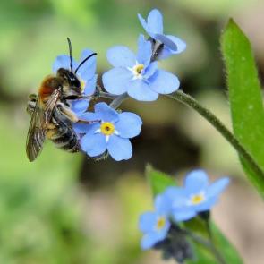 ����: ������� ������