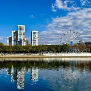 ����: �����������