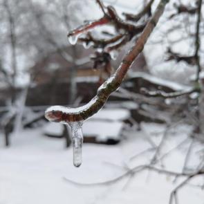 ����: �� ����