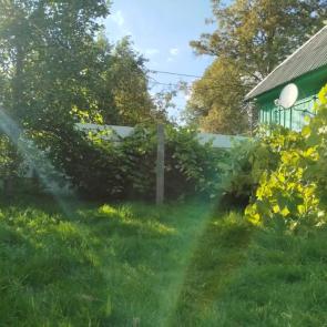 ����: � �����