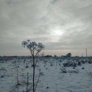 ����: �� ����