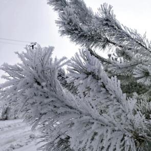 ����: �������