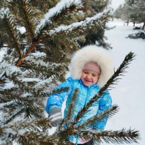 ����: ����������� ����� � �����