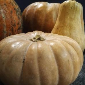 ���� ��������: �����