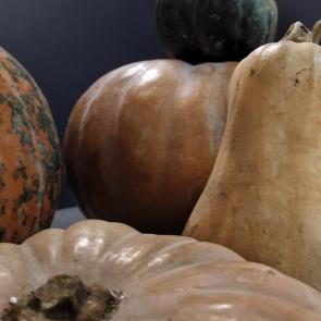 ���� ��������: ����� 1