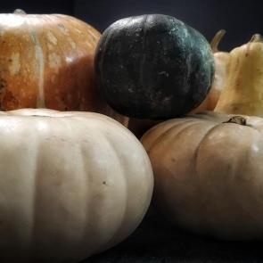 ����: ����� 2