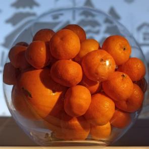 ����: ���������� 