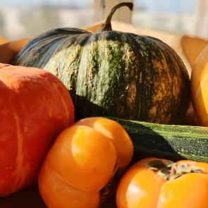 ����: ������ �����