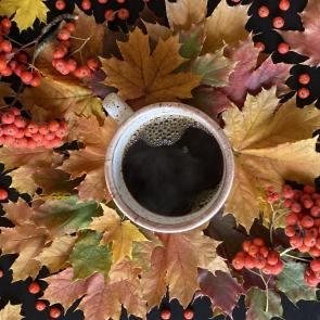 ����: ������� ������