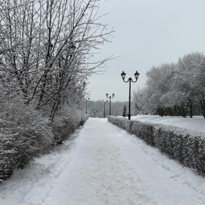 ����: ������ ���������� 