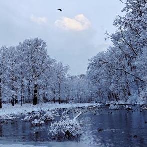 ����: ���� � �����