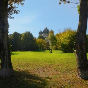 ����: ������������ ����