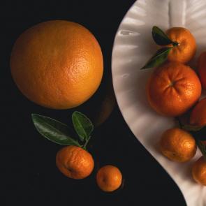 ����: ��������� ���������