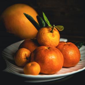 ���� ��������: ���������� ��������