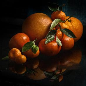 ���� ��������: ���������������