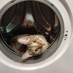 ����: ����� � ������������