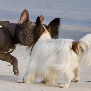 ����: ����������