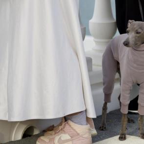 ����: �������