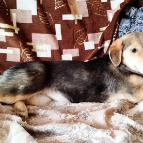 ����: ������ ��������