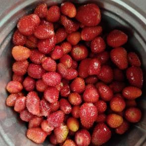 ����: ������ �����