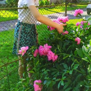 ����: � ������ 