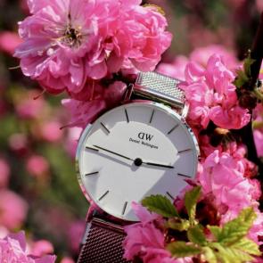 ����: ���� � ������