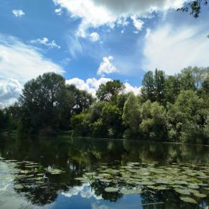 ����: �. �����