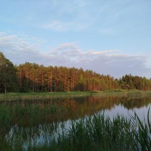 ����: ������ 