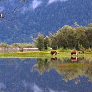 ����: ���������