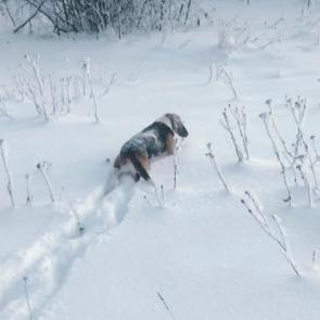 ����: �� �����! 