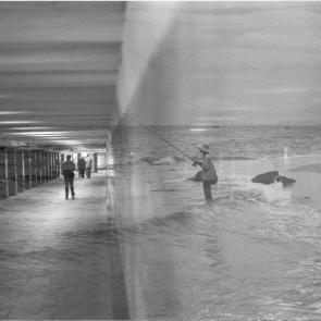 ����: ������������ ����