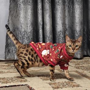 ����: ���������� �������.