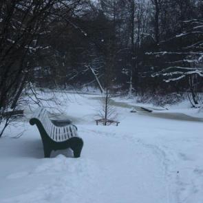 ����: ������ ������