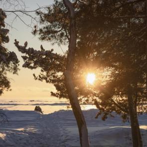 ����: �����