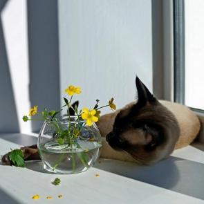 ����: ����� �� ����