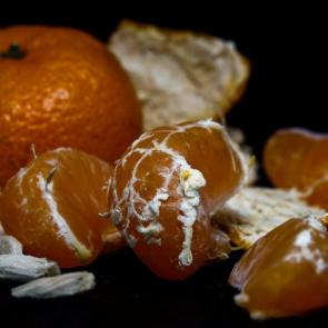 ����: ������������ ������