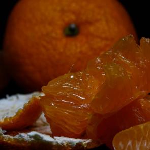 ����: �������� �������